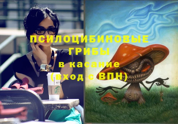 Альфа ПВП Армянск