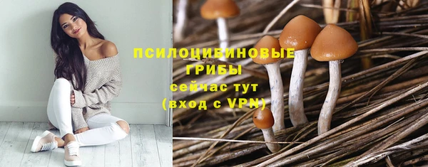 Альфа ПВП Армянск