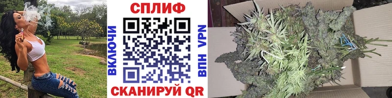 Купить где  Суоярви  Конопля Bruce Banner 
